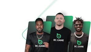 A Comprehensive Guide to BC.Game Casino 5